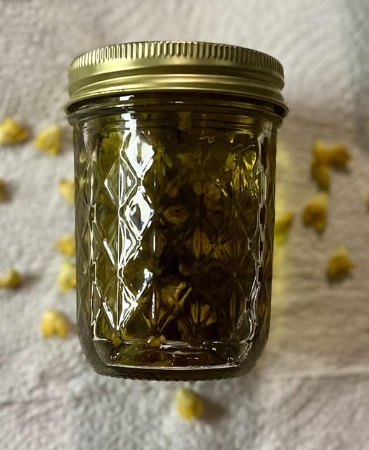 Mullein Ear Oil
